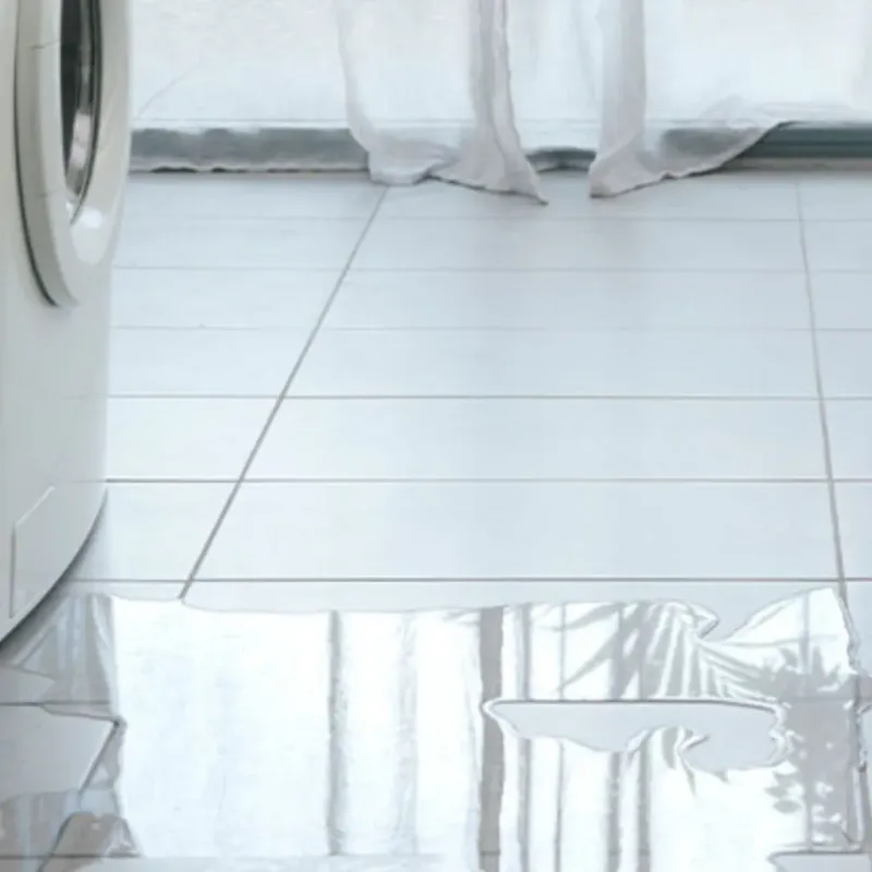 Appliance Leak Cleanup in Spencer, WI
