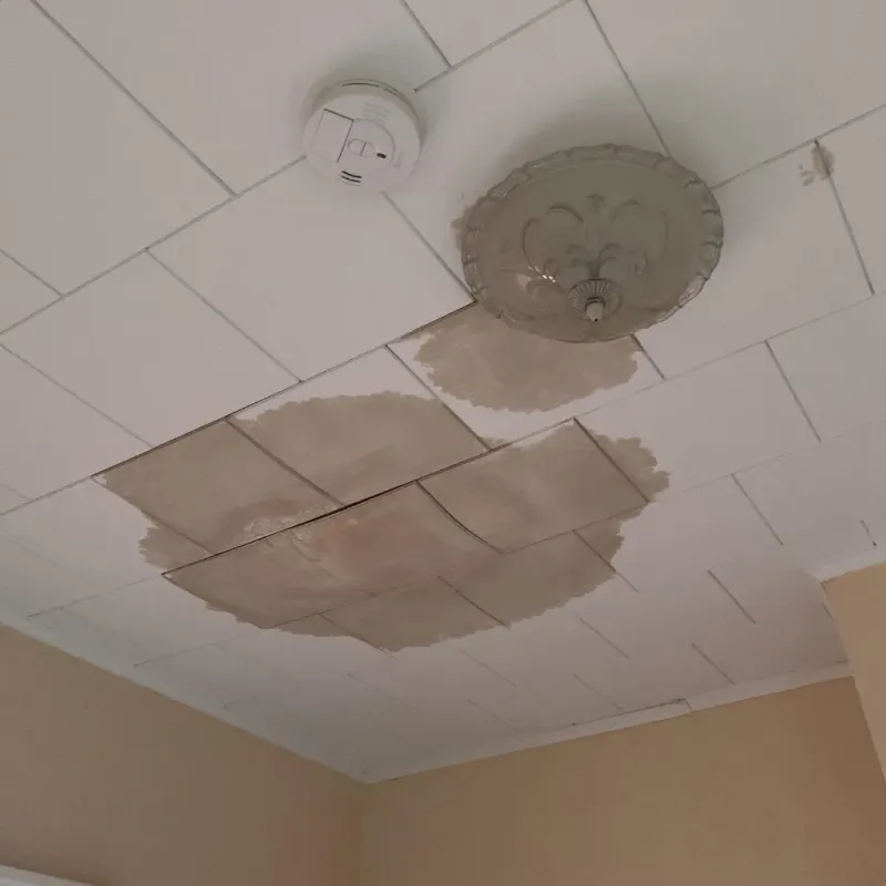 Ceiling Water Damage Repair in Spencer, WI