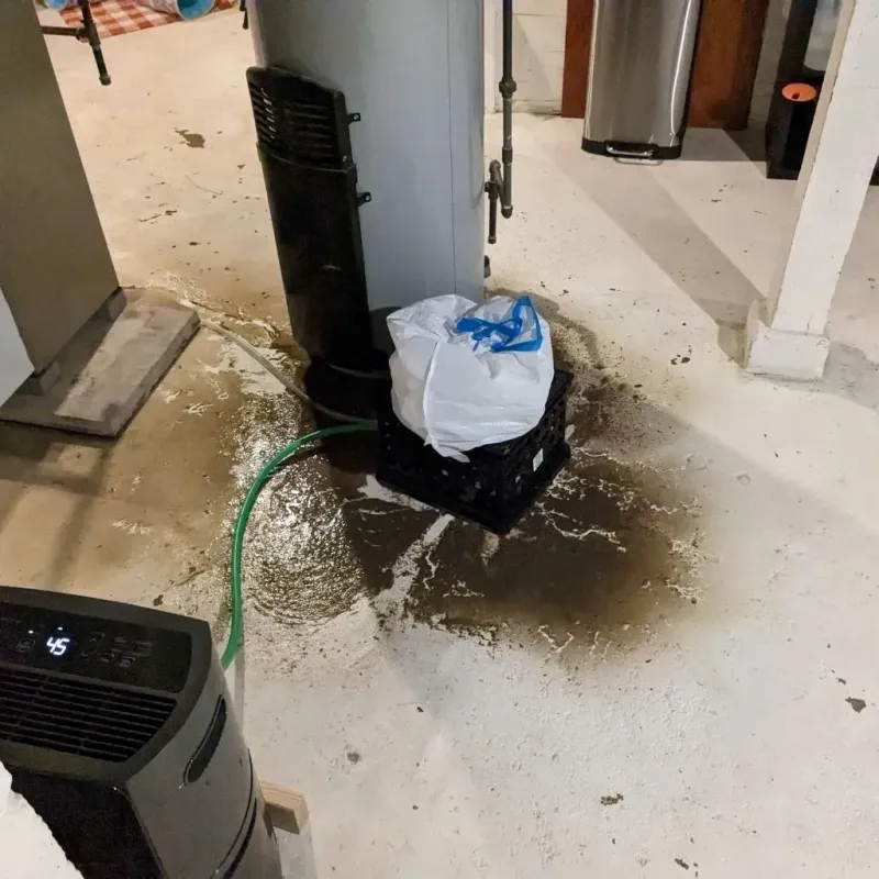Sewage Backup Cleanup Service in Spencer, WI